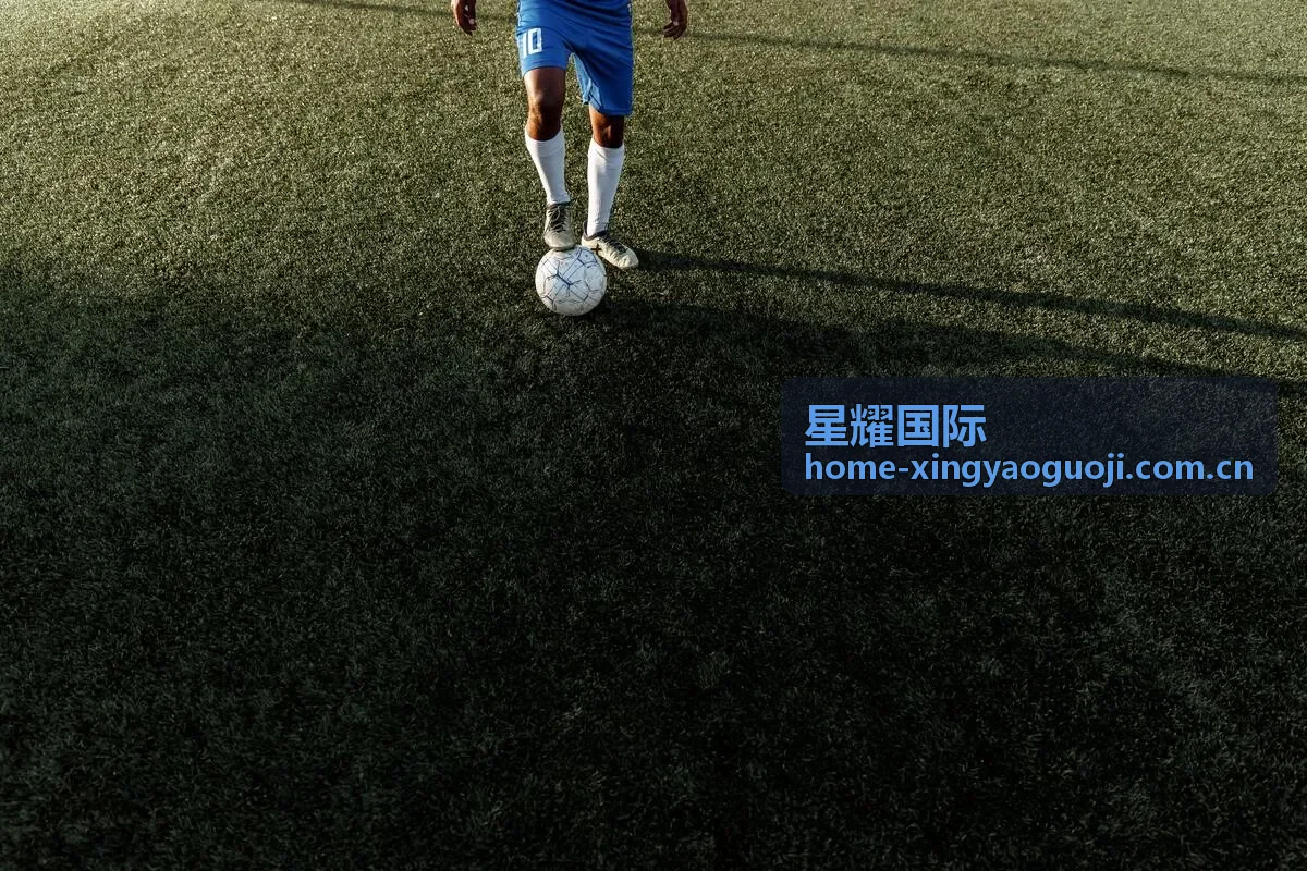 星耀国际专家咨询预约背景图